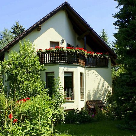 Ferienwohnung Ginkgo Dresden Oda fotoğraf