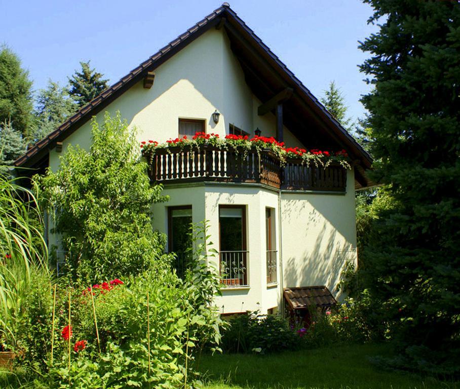 Ferienwohnung Ginkgo Dresden Oda fotoğraf